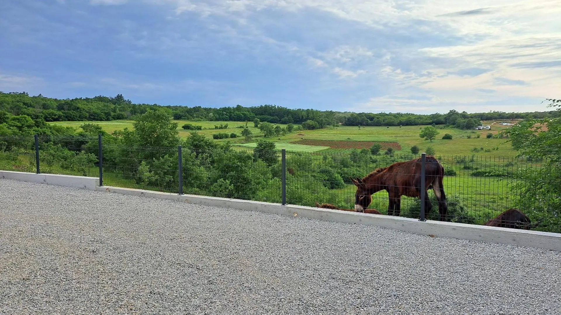Holiday Home Country Retreat Visnjan Croatia